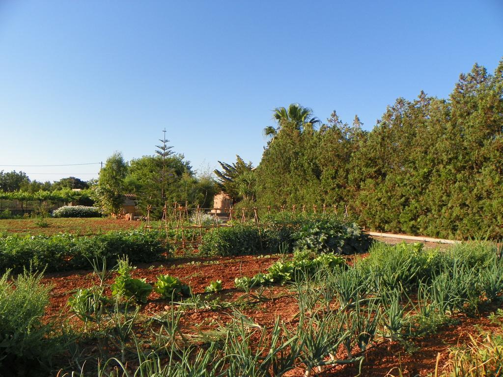 Agroturisme Can Bessol S'Horta Exterior photo